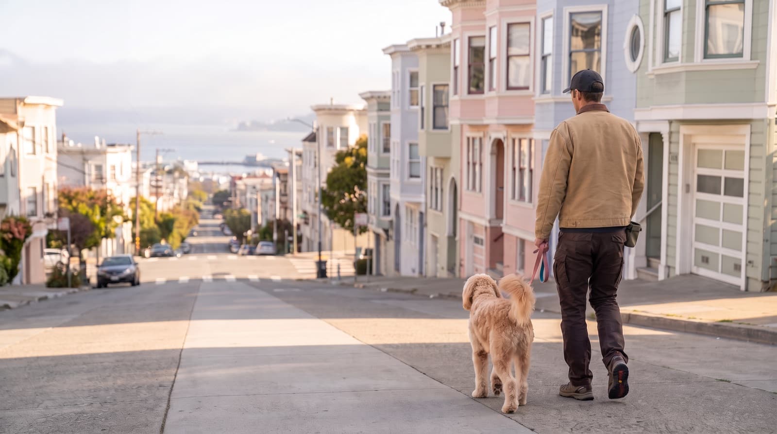 A dog walker in a cap and work jacket and a goldendoodle on a loose pink leash walking down a steep San Francisco street toward the bay