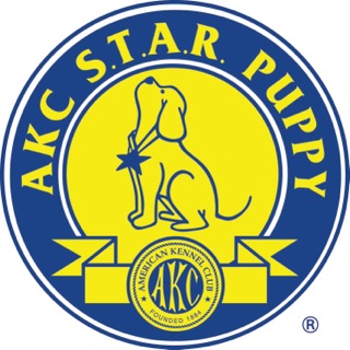 AKC S.T.A.R. Puppy — our trainers are approved evaluators
